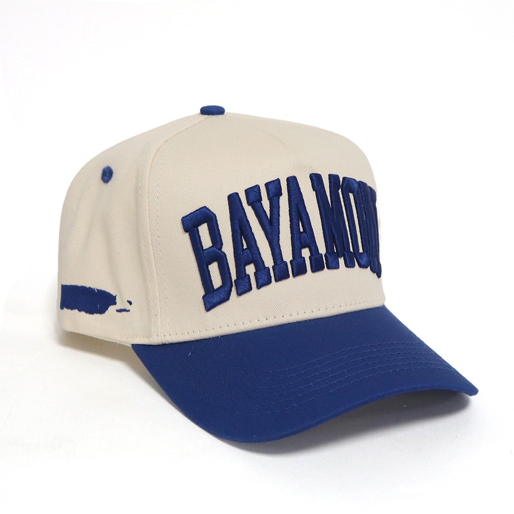 Bayamon - Municipal Flag - Blue